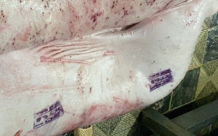 Heo bệnh mà lại đóng dấu 'được đưa ra thị trường' là sai
