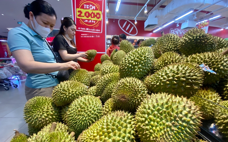 Sầu riêng xuất khẩu sang Trung Quốc bị trả về sẽ phải kiểm tra chất vàng O