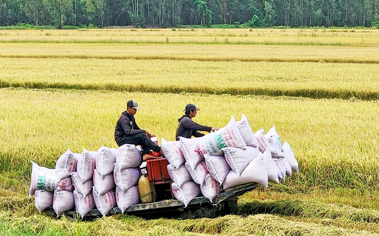 Tích cực tìm thị trường mới cho gạo xuất khẩu