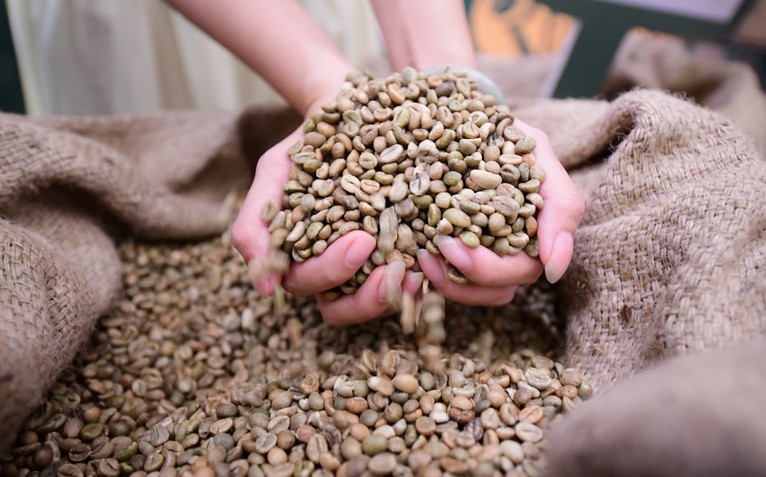 Robusta tuần qua: Đâu là ngưỡng giá của vụ mới?
