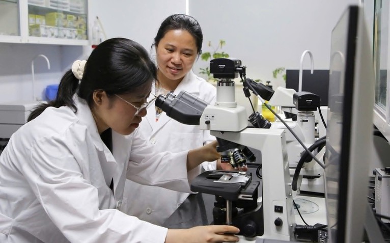 Học ngành khoa học, kỹ thuật có thể nhận học bổng tới 8,4 triệu đồng/tháng