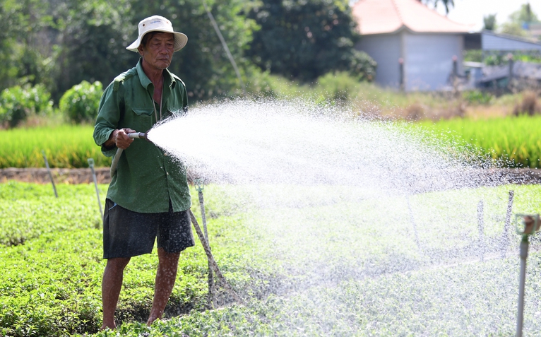 Dạy nhà nông nghệ thuật đặt câu hỏi cho AI