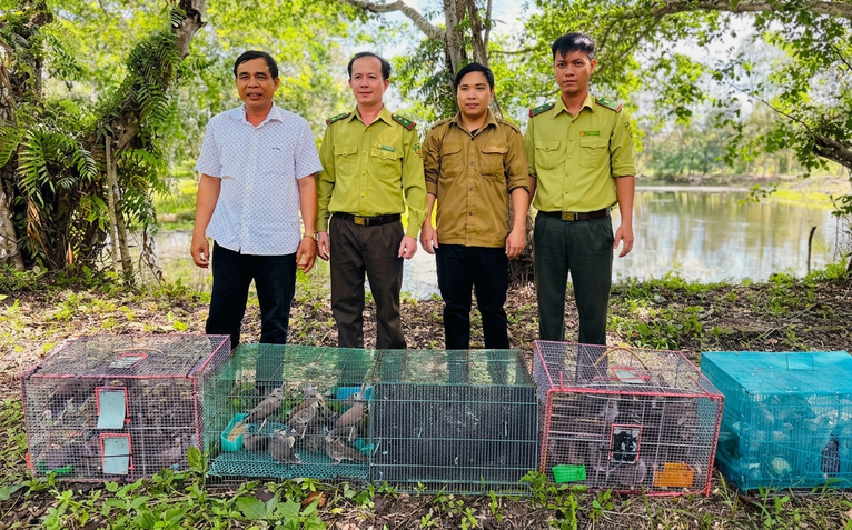 500 chim cu đất bị buôn bán trái phép được thả về rừng U Minh Thượng