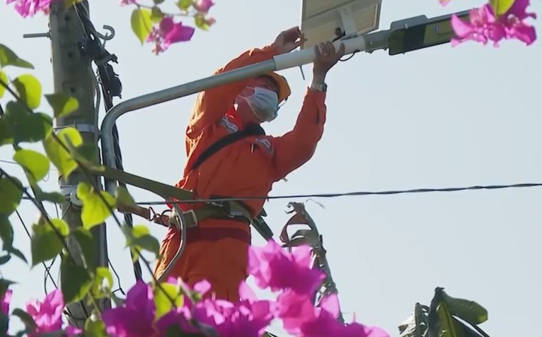 Điện lực Đất Đỏ nỗ lực giữ an toàn hành lang lưới điện