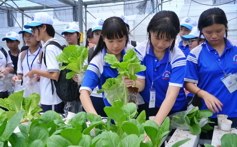 Trải nghiệm tiếp lửa nghề truyền thống cho học sinh TP.HCM