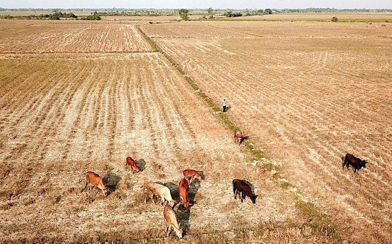 Dự báo El Nino rất mạnh, đề nghị xây dựng kế hoạch ứng phó theo kịch bản rủi ro rất cao