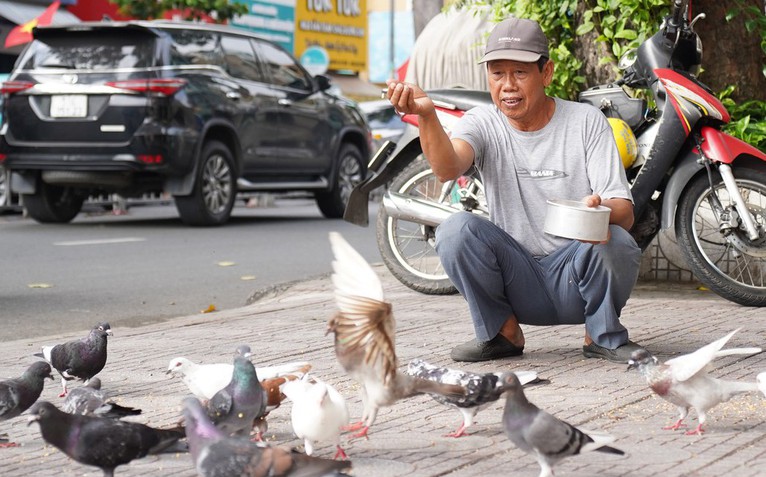 Người cựu binh hơn 30 năm ‘đãi tiệc’ đàn bồ câu giữa lòng TP.HCM