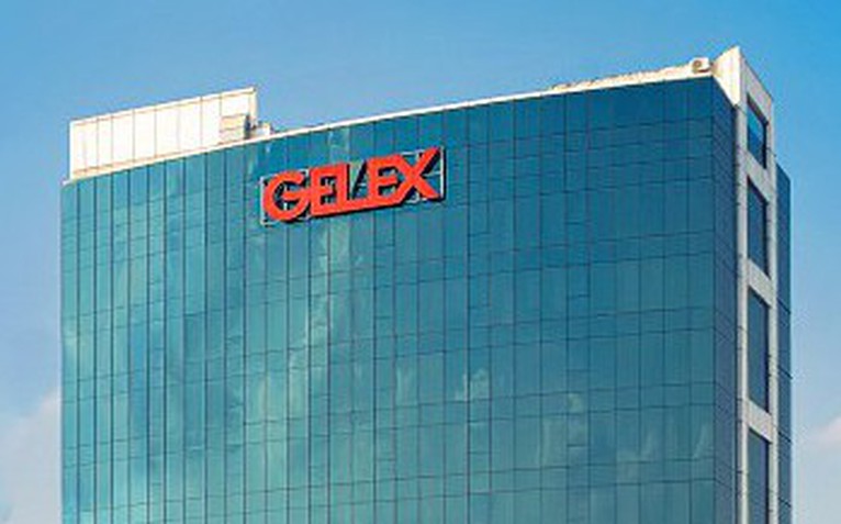 Cổ phiếu 'họ Gelex' đồng loạt giảm kịch sàn