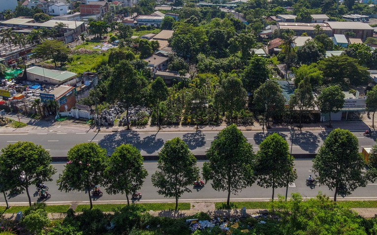 Di dời 186 cây xanh làm nút giao Phạm Văn Đồng - vành đai 2 TP.HCM