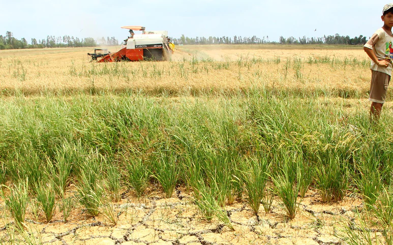 El Nino trở lại