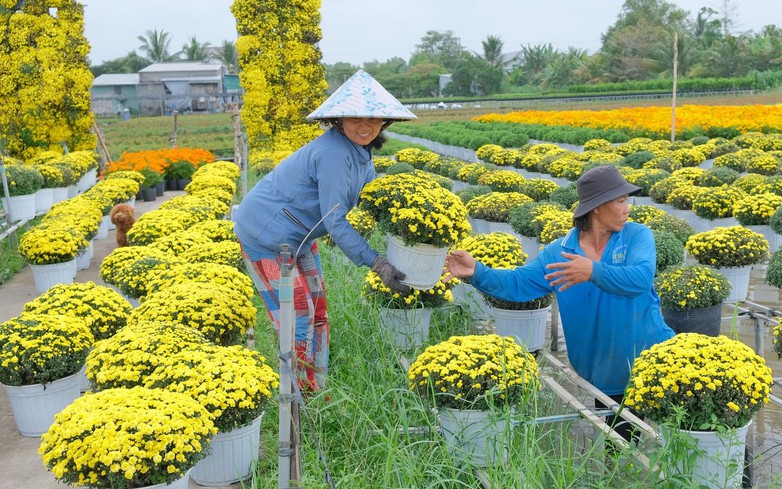 Vietnam’s famous Sa Dec Flower Village bustles ahead of New Year