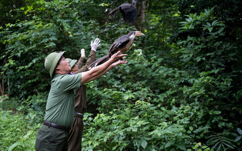 17 rescued animals reintroduced to Vietnam’s Phong Nha-Ke Bang forest