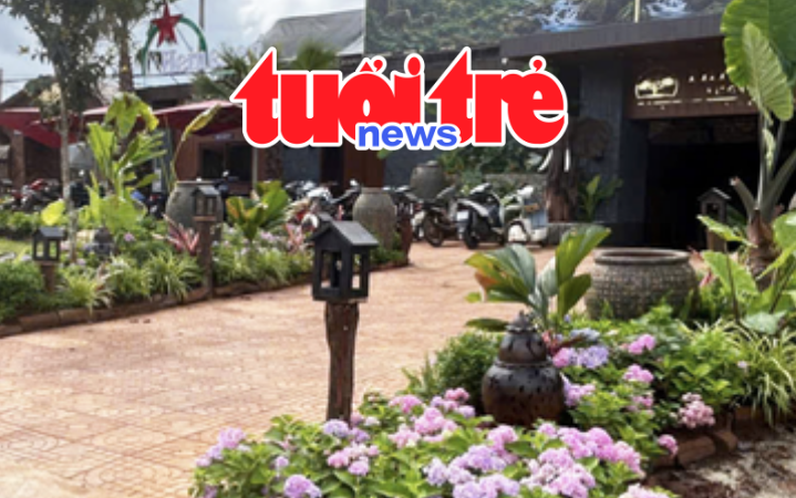 Vietnam Spotlight Podcast: Café owner fined over unauthorized sidewalk trees, Hanoi AI cameras catch over 18,000 offenses