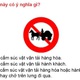 Sát hạch lý thuyết lái ôtô: gần 16% số câu hỏi không cần thiết?