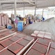 Cục Thuế Cần Thơ liên tục thua kiện vì ra văn bản trái luật