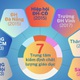 10 năm kiểm định chất lượng giáo dục đại học Việt Nam