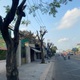 Cắt trụi lủi cây xanh đô thị: Người dân bực mình vô kể