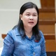 Đại biểu Quốc hội: Vì sao luật vừa thi hành đã phải sửa đổi, có luật chưa thi hành cũng phải sửa?