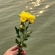 9X nghĩ về hòa bình