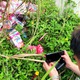 Ngăn chặn hàng gian, hàng giả: Cần đồng sức, đồng lòng