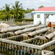 Miền Tây sống chung với hạn mặn, không chống mặn bằng mọi giá