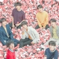 BTS dẫn đầu bảng tổng kết cuối năm của Spotify