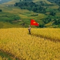 Cách tham gia cuộc thi trực tuyến Tự hào Việt Nam