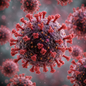 Virus Ebola là gì? Bệnh do virus Ebola gây ra nguy hiểm thế nào?