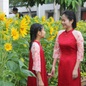 'Mùa xuân trên TP.HCM' và những giai điệu đi cùng 50 năm thành phố
