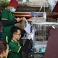 Phía sau hành trình chăm sóc hơn 400 chú mèo được giải cứu