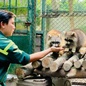 Kể chuyện Thảo Cầm Viên, rinh ngay giải thưởng 10 triệu đồng