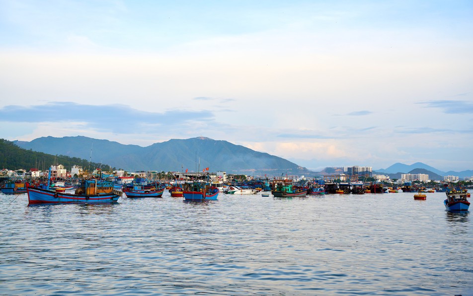 Một ngày khám phá bến cá Vĩnh Trường